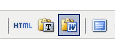 Paste_from_Word.png