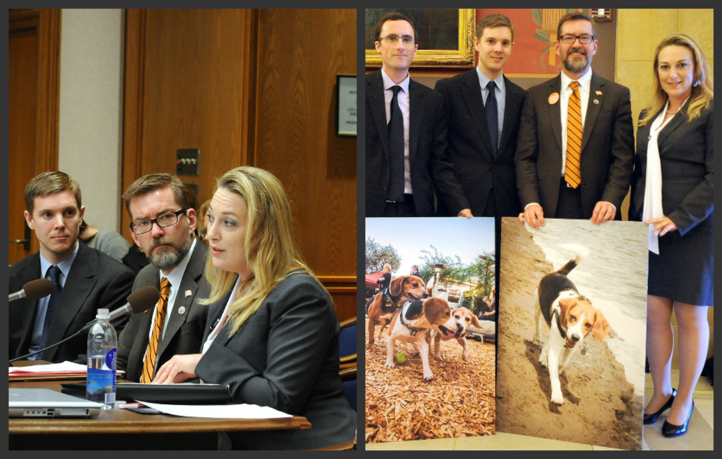 4-13-newsletter-senate.jpg