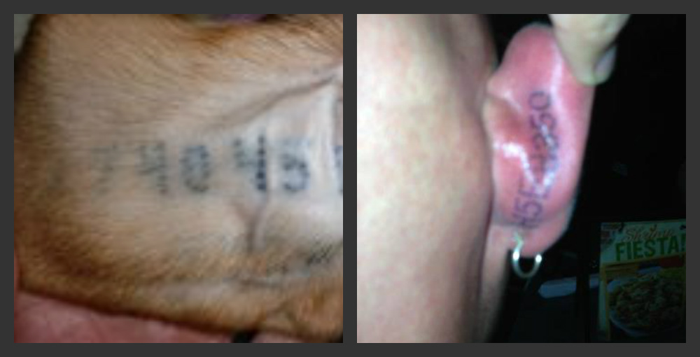 outreach_joe_tattoo.jpg