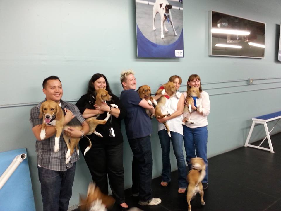 grace_and_puppy_reunion_indy_of.jpg