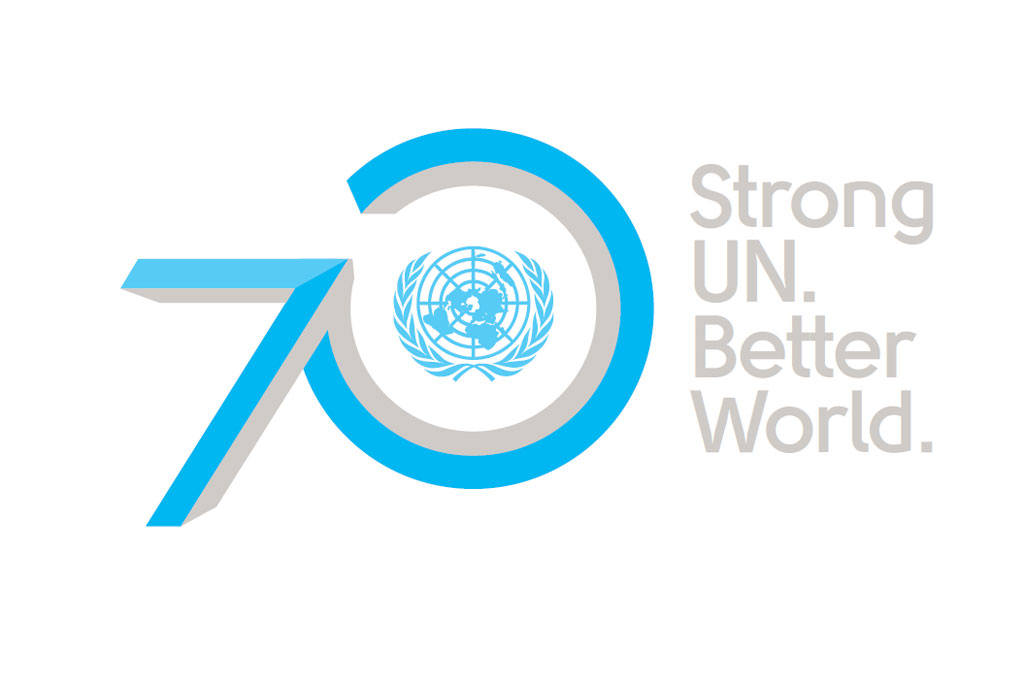 United Nations Resume Sample