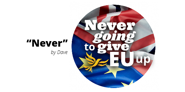 Can't see the design? Click here!