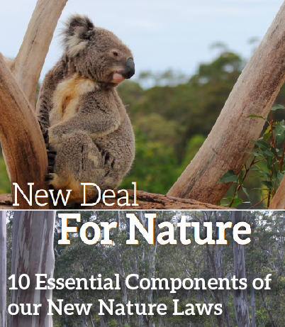 New Deal for Nature report New Deal for Nature report