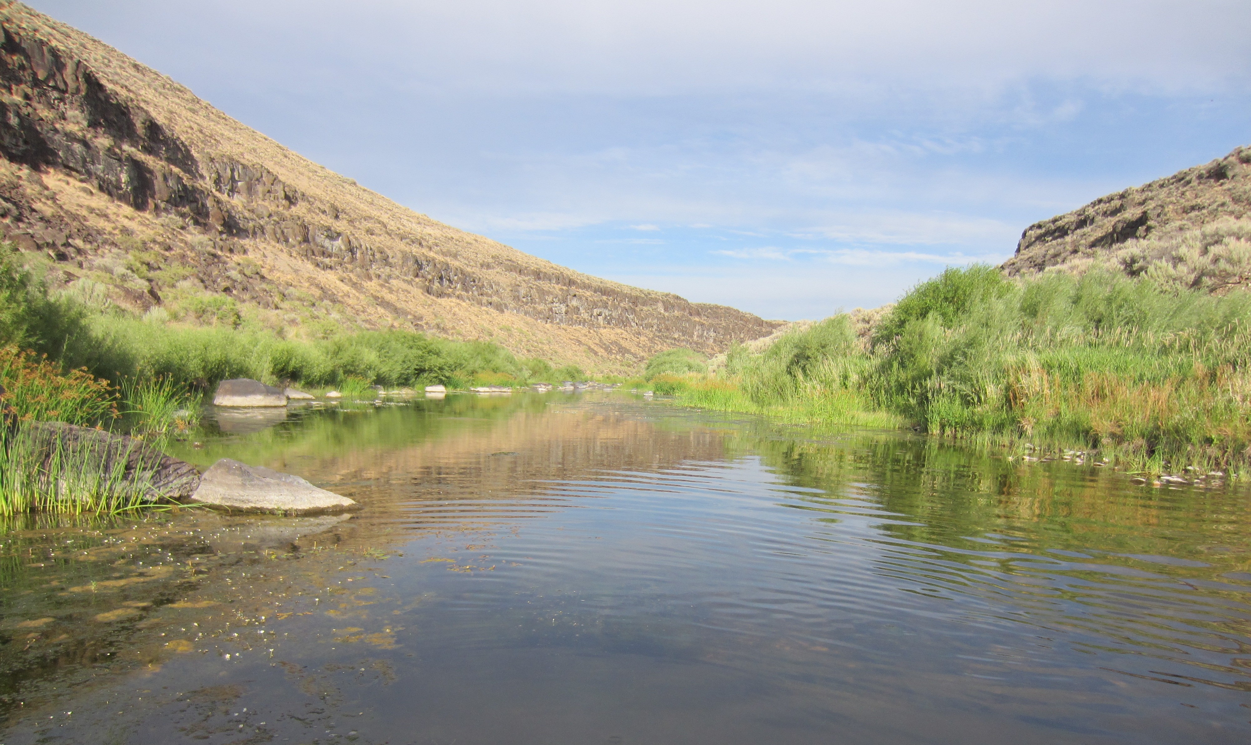 Owyhee Canyon Wilderness Study Area Friends of Nevada Wilderness