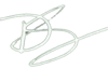 djs-signature-wht.png