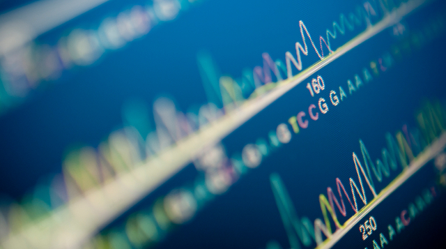 genome_2.jpg