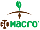 GoMacro