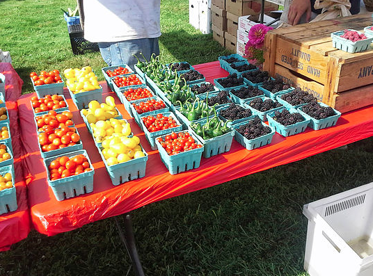 Wrightstown Farmers Market
