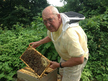 Buckingham Valley Honey