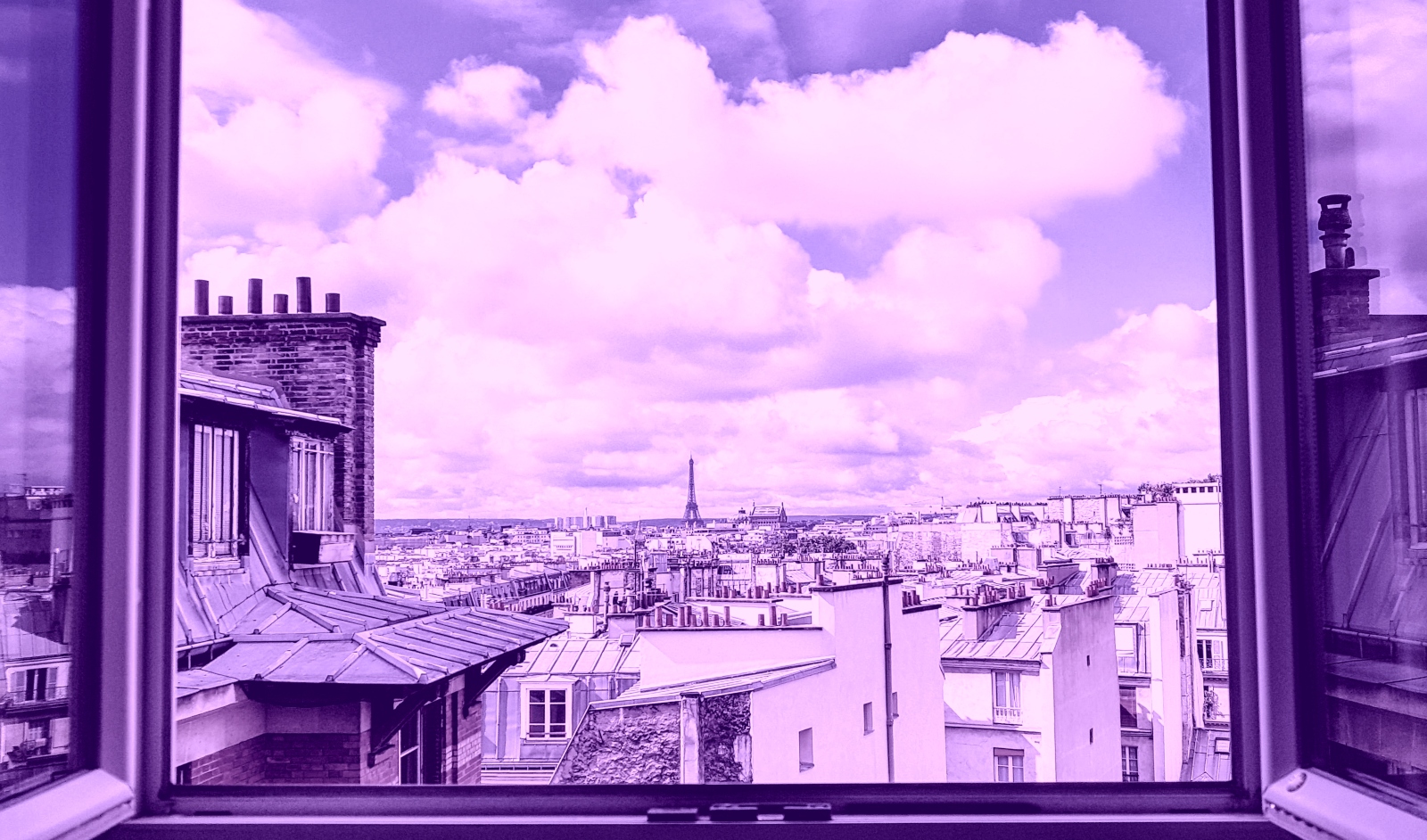 Volt aux Municipales
