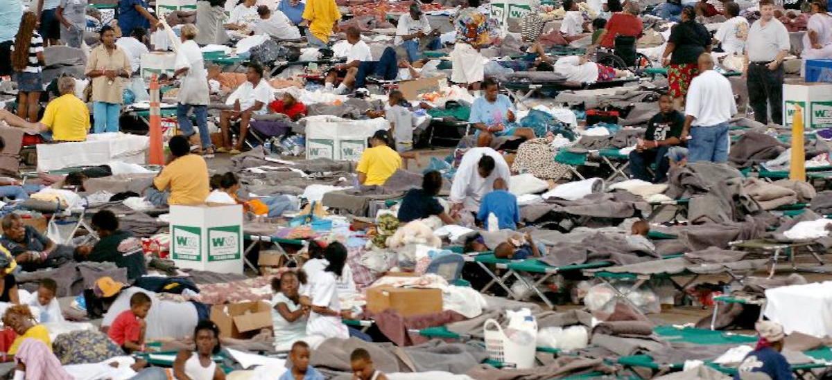 opinion of gays in louisiana huge shemale orgy