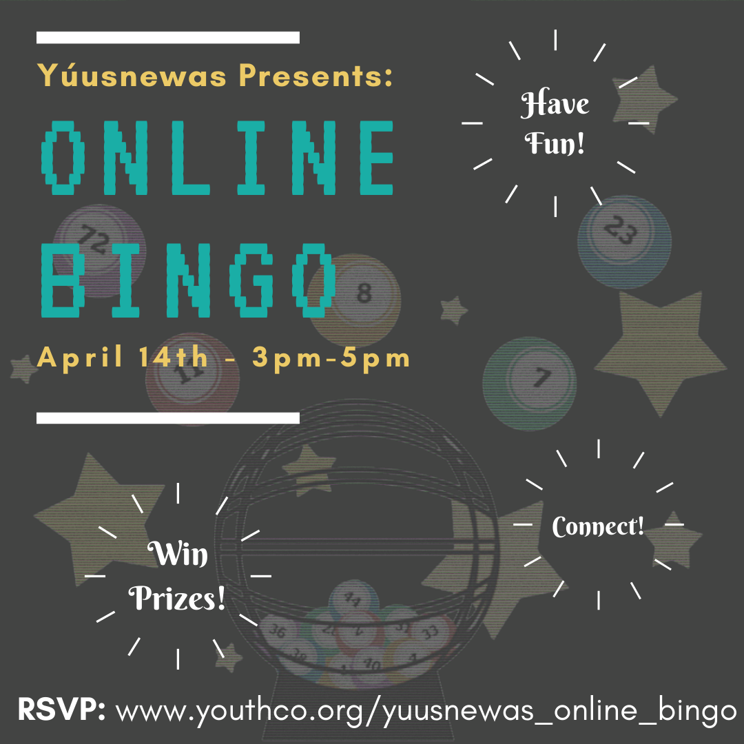 Online Bingo