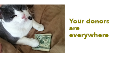 donorseverywhere.png