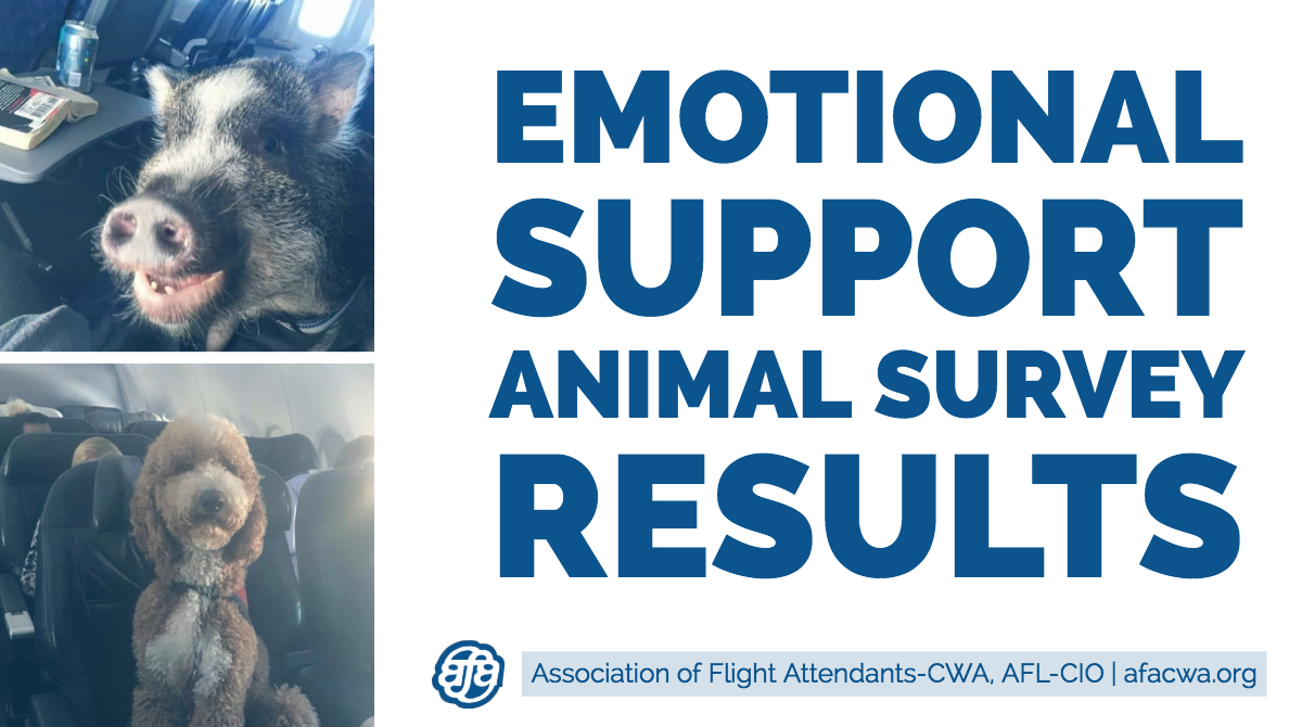 Can Emotional Support Dogs Fly Internationally