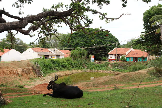 Anti Illegal Mining In Karnataka Association For India s Development