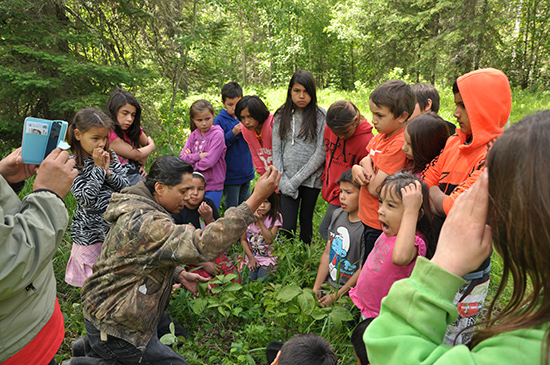 Students from Grouard Northland School and Atikameg School learn how to identify plants for medicinal purposes during a medicine walk with Jason Bigcharles, an outdoor education/Cree culture specialist.