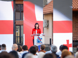 Free Democrats elect new leader and step up election preparations