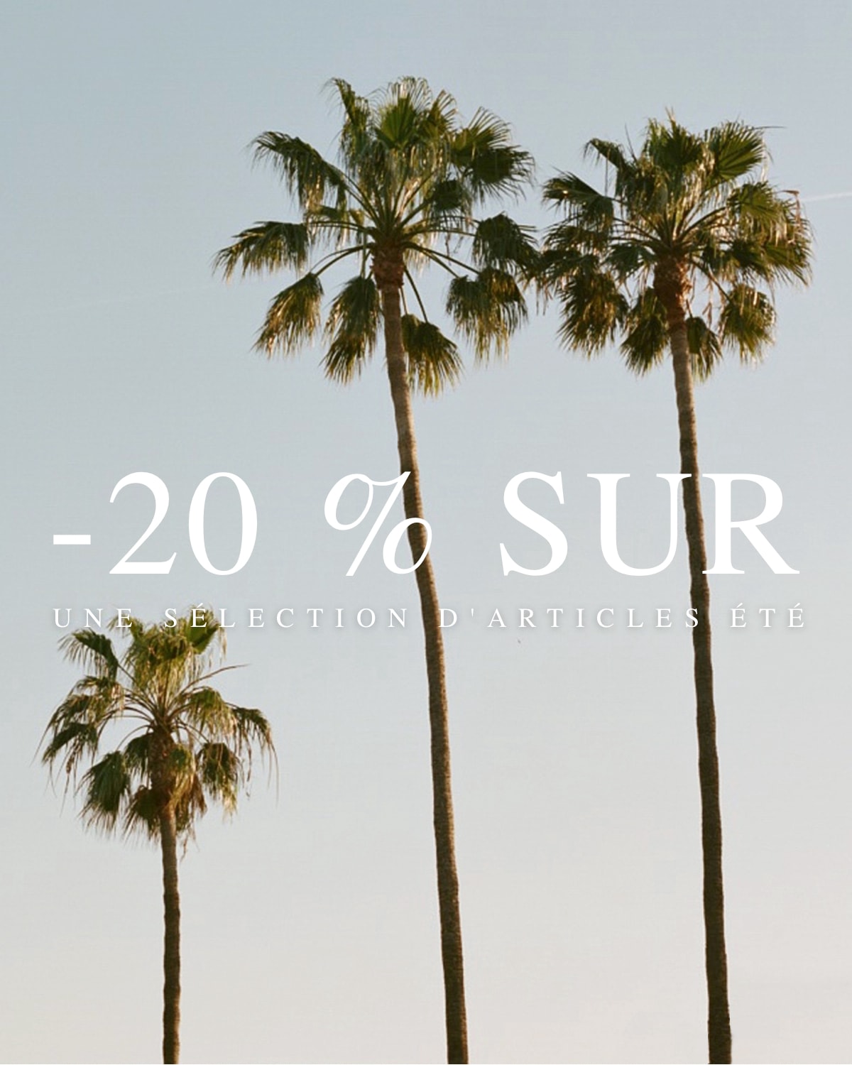20% Off