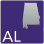 page icon