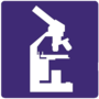 page icon
