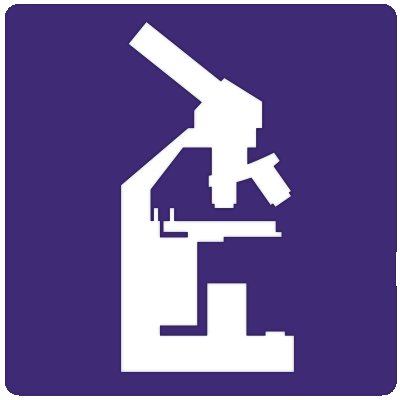 page icon