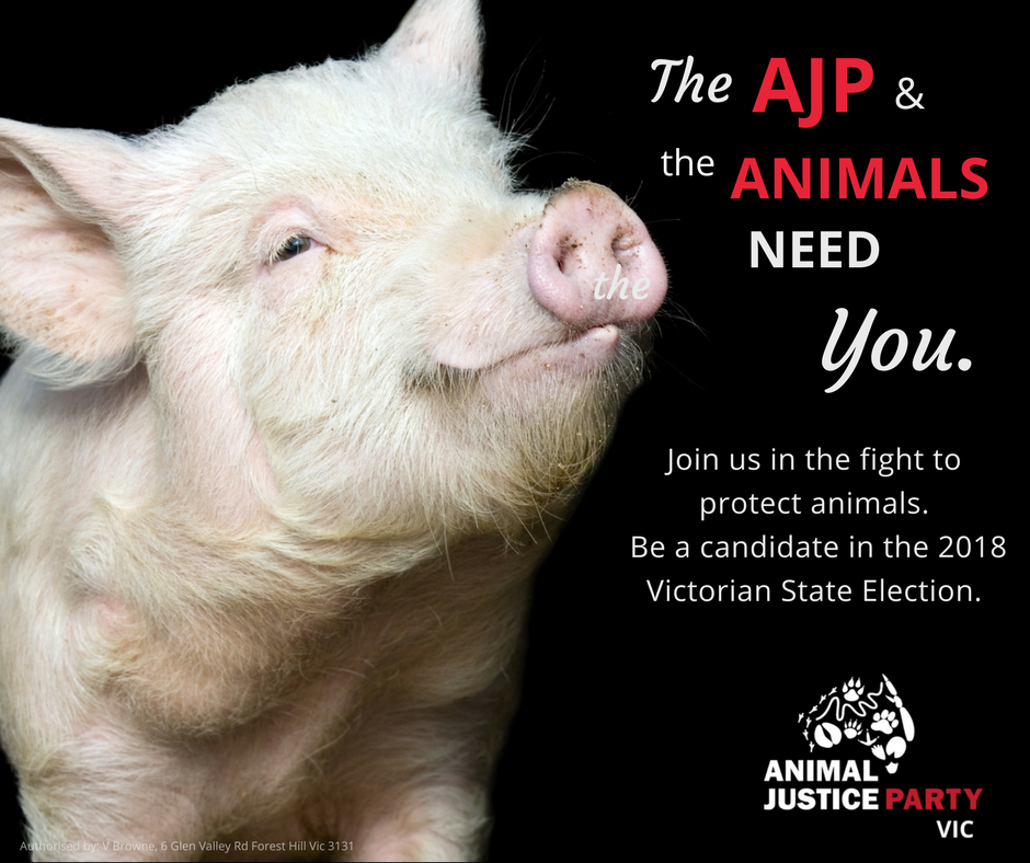 AJP_VIC_CANDIDATES_2018.png