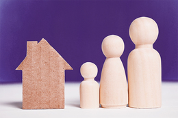 Domestic Violence Renting Reform