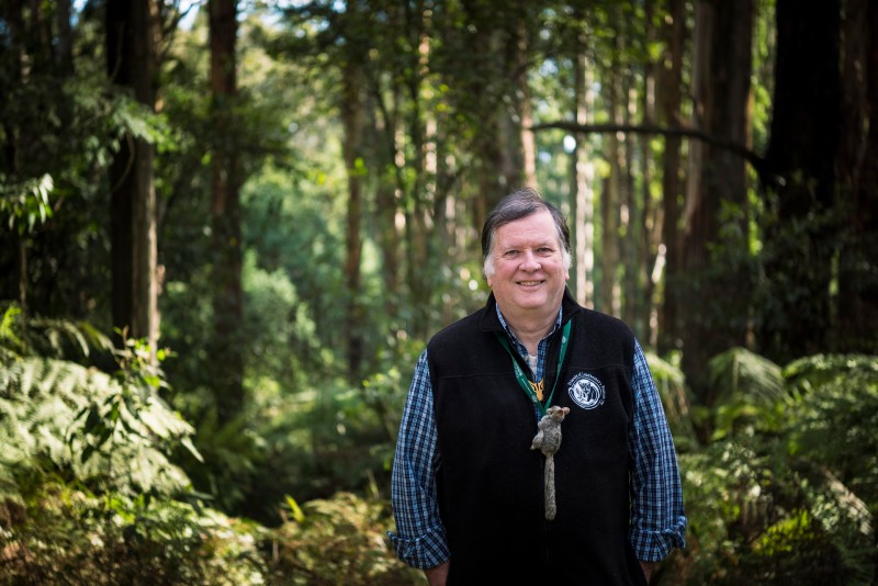 Possum and climate defenders win top [conservation award] | Mirage News