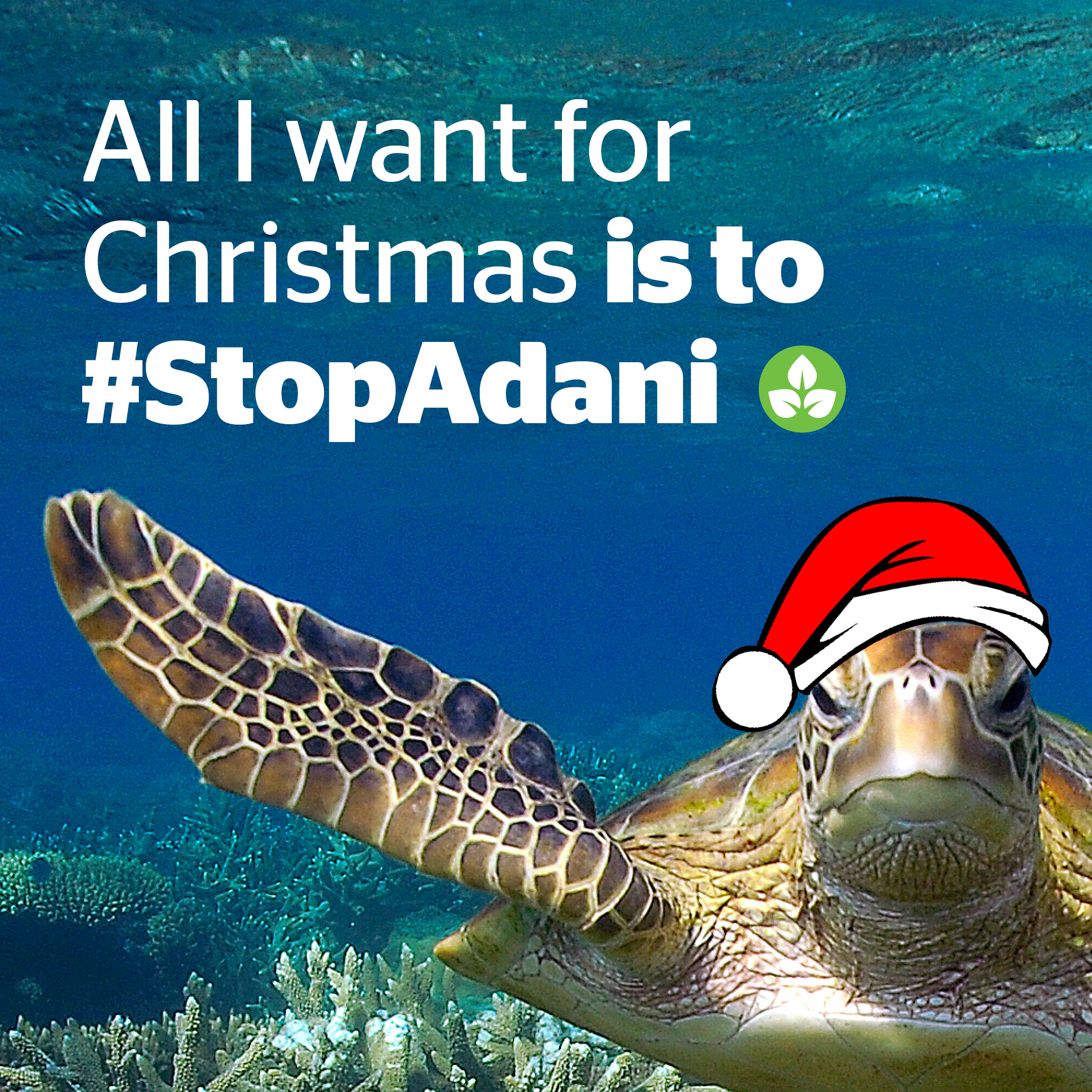 All I want for Christmas is to Stop Adani!