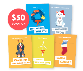 Donate $50 to the AYCC