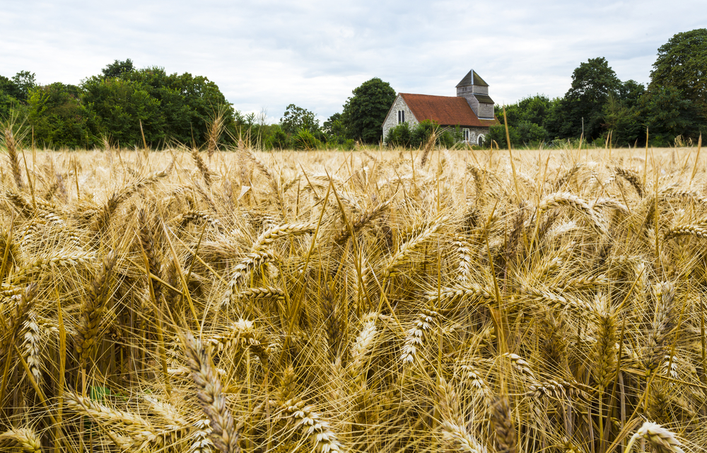 BLOG A return to the Corn Laws in the 21st Century lessons from the