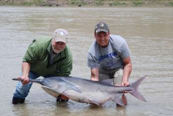 Larry and Jake Fischer wtih Mo. River paddlefish 2013.1414