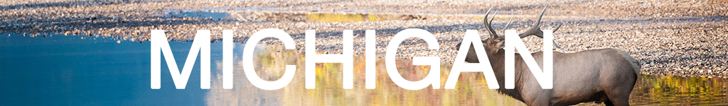 MICHIGAN.jpg