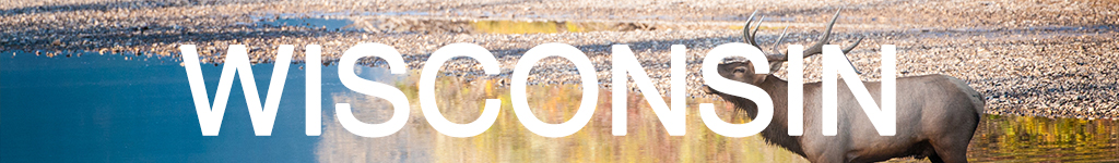 WISCONSIN.jpg
