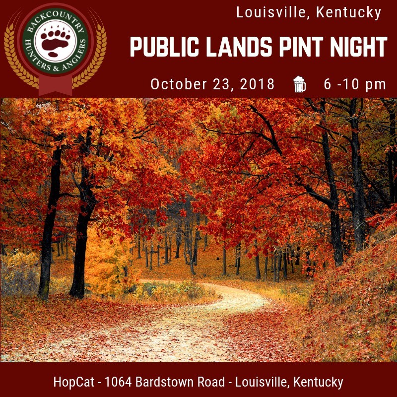 Louisville_pint_night.jpg