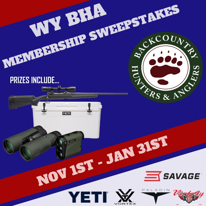 Prizes_Include....jpg