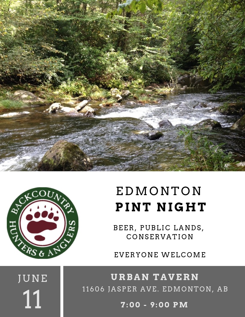 Edmonton_Pint_night.jpg