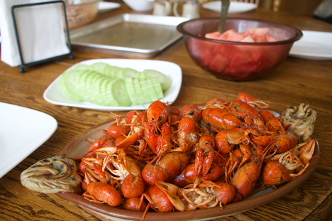 homemade crawfish bait