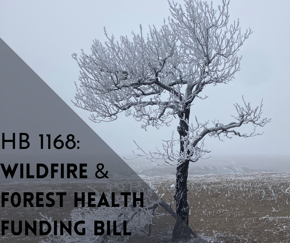 WA BHA Supports Wildfire and Forest Health Funding bill Backcountry