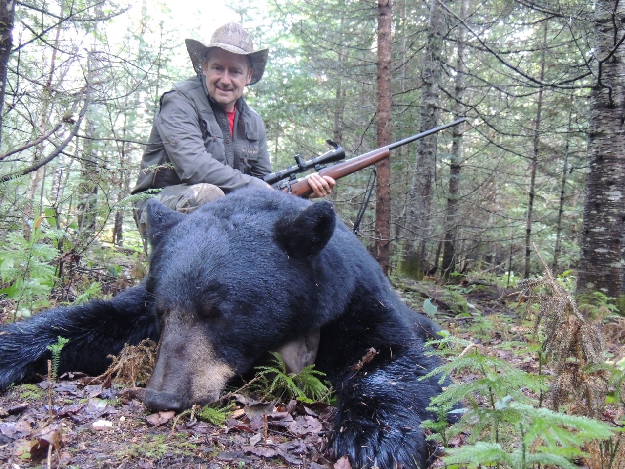 thumbnail_Gary_Lewis_MN_bear_2015_01.jpeg