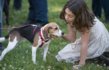 Beagle Freedom Project