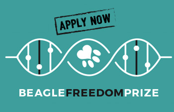Beagle Freedom Prize