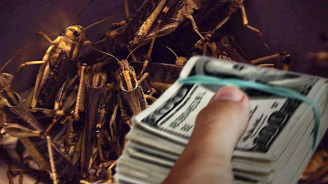 cricket_money.jpg?1619531767