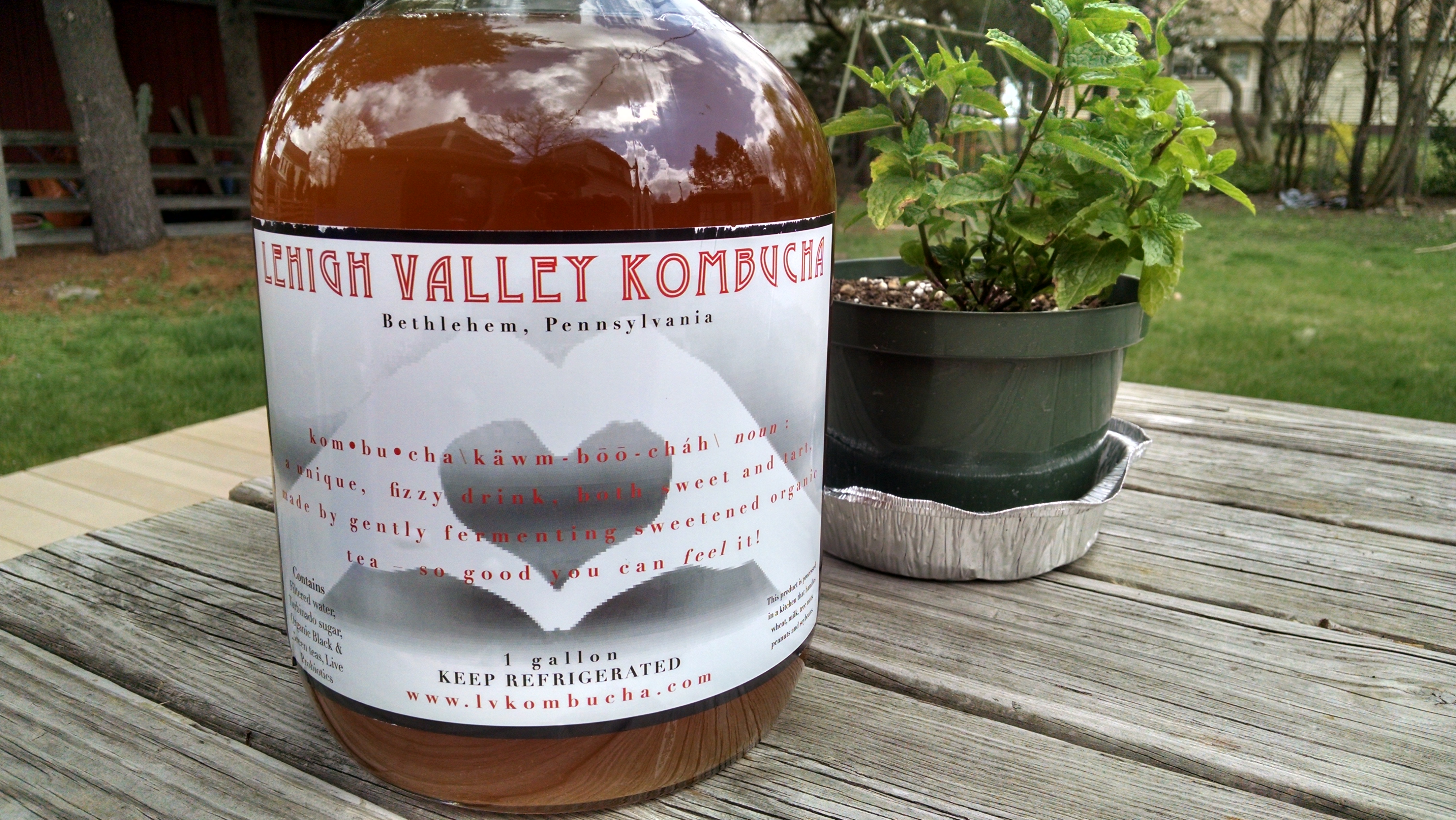 LVKombucha.jpg