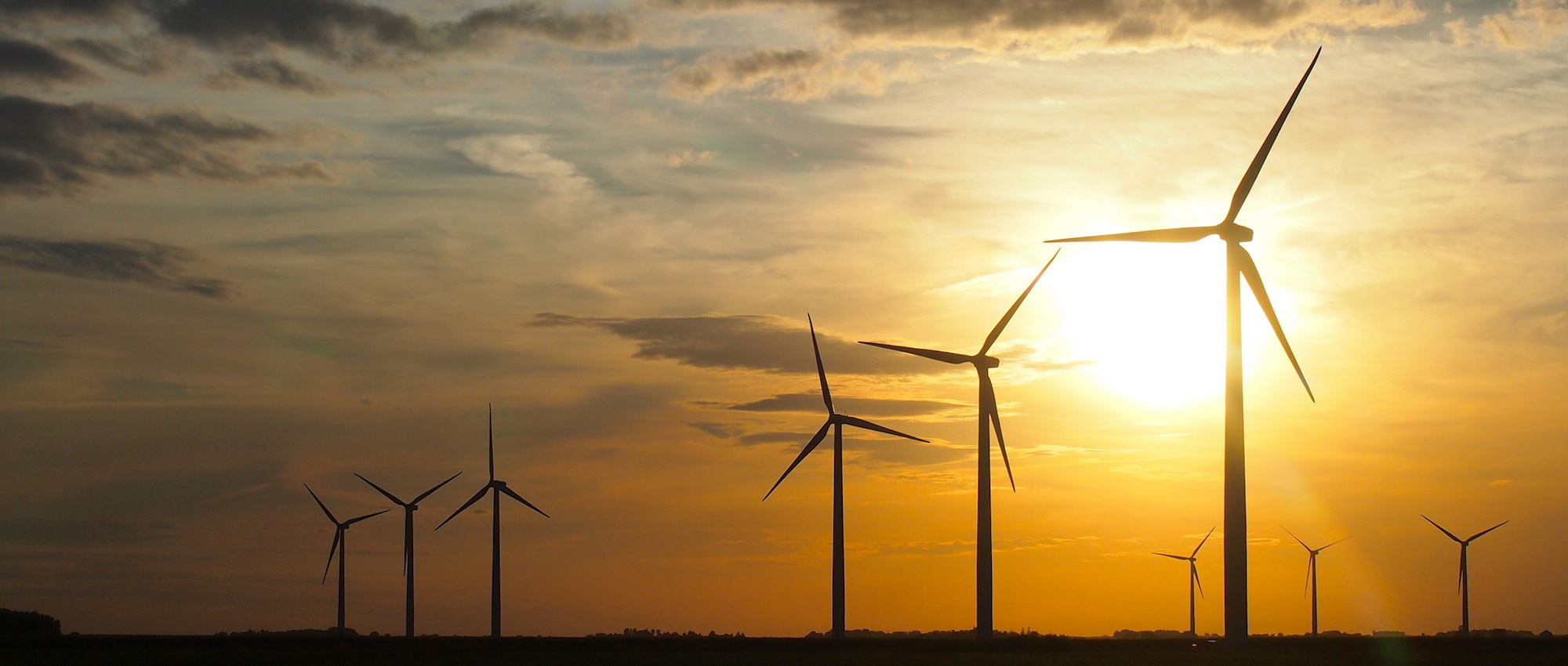 Join thousands who've made the switch to a greener, low-cost energy company.