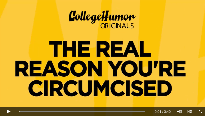 The real reason you're circumcised The real reason you're circumcised