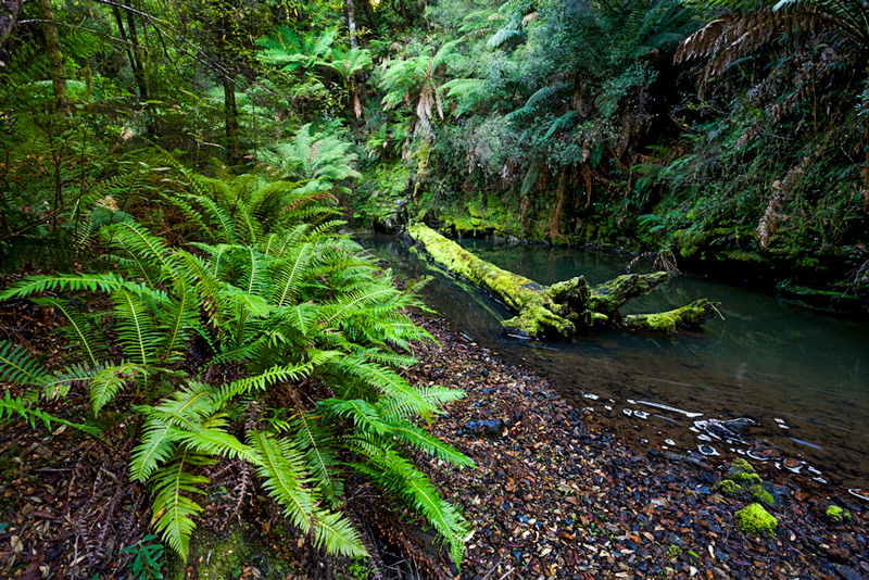 Julius-River-Reserve_MGay_TIM-2017.jpg