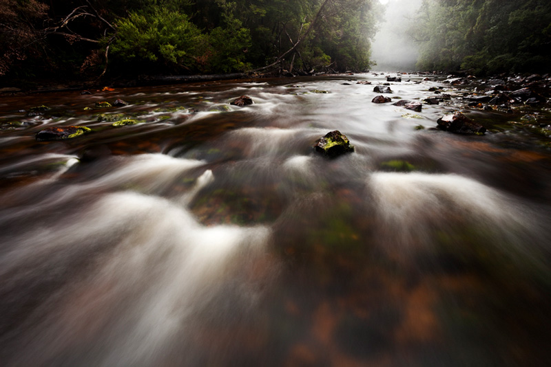 Misty-Donaldson-River_MGay_TIM-2017.jpg
