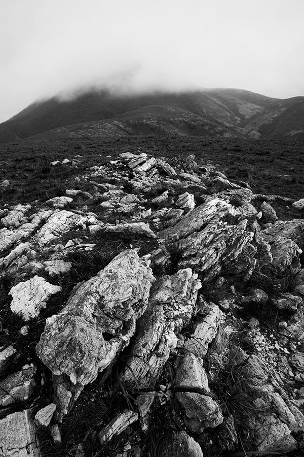 Misty-Norfolk-Range_MGay_TIM-2017.jpg