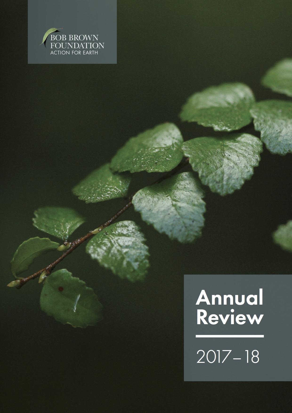 BBF_Design_Org_2018_AnnualReview_Dig_FrontCover_Sml.jpg